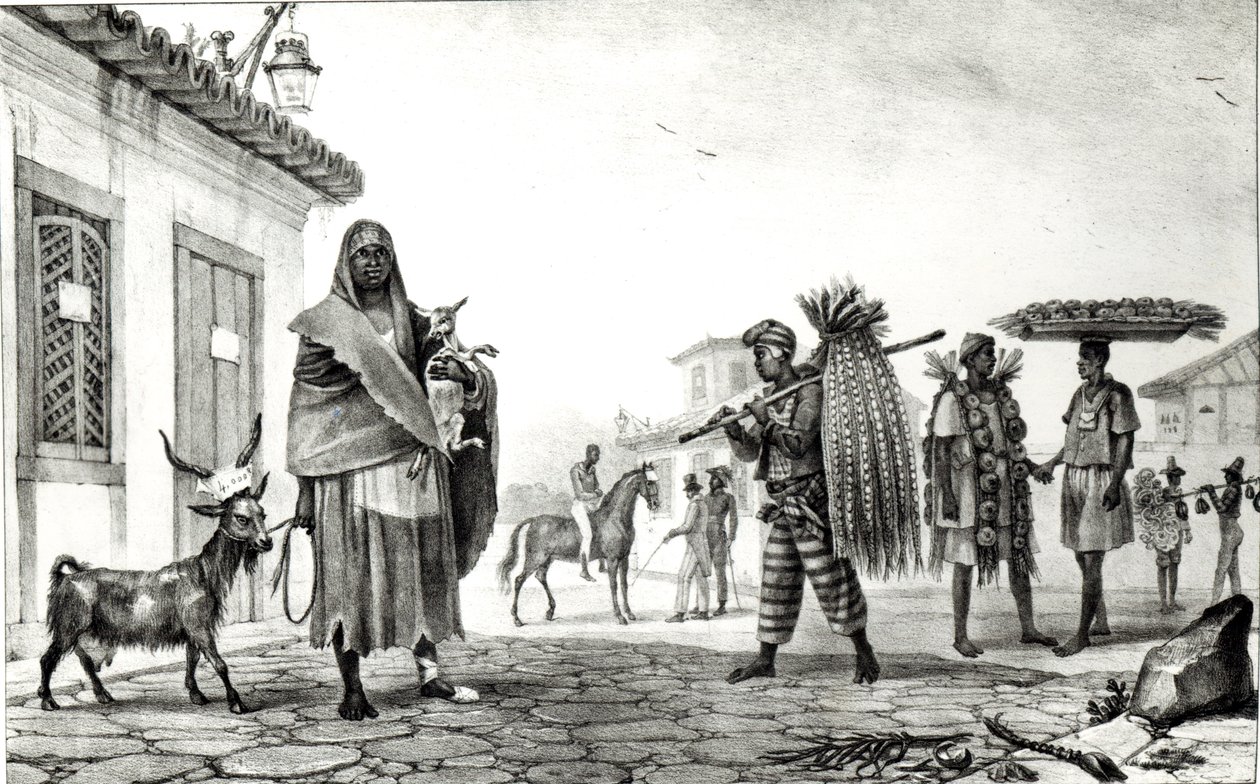 Maison à louer, cheval et chèvre à vendre, de 