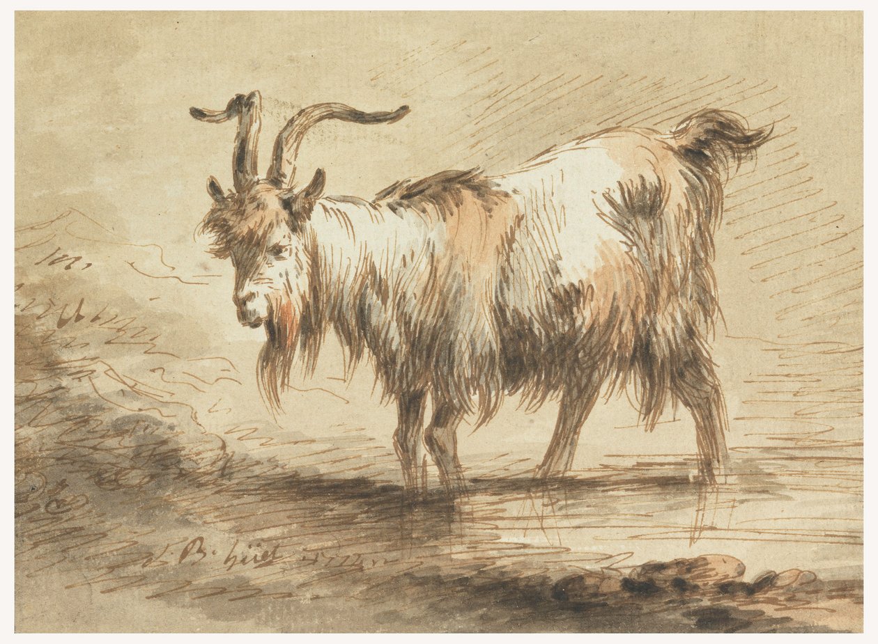 Dessin, Étude d