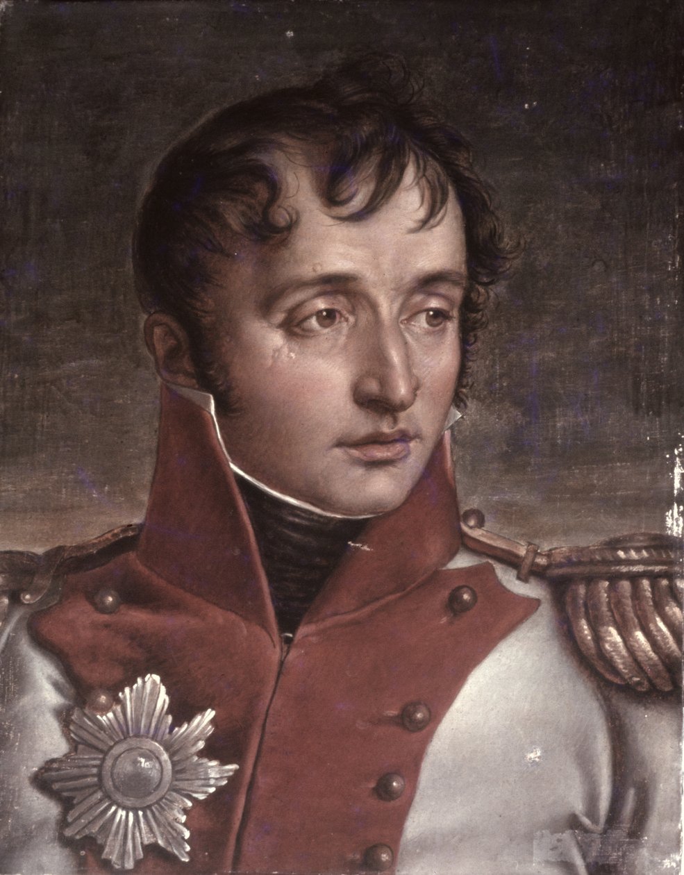 Portrait de Louis Bonaparte (1778-1846) roi de Hollande, c.1805-34 - Jean Baptiste Joseph Wicar