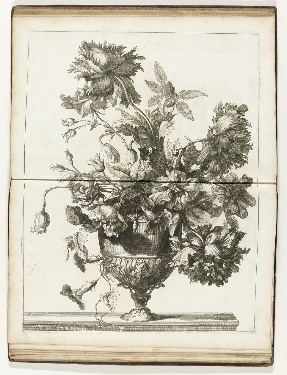 Vase de fleurs - Jean Baptiste Monnoyer