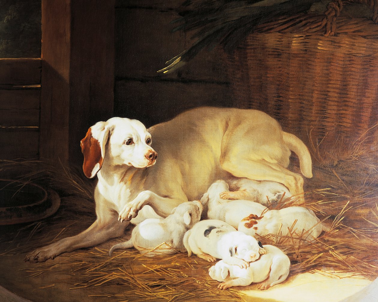 Chienne allaitant des chiots, (détail) de Lise et ses petits, par Jean-Baptiste Oudry (1686-1755), France - Jean Baptiste Oudry
