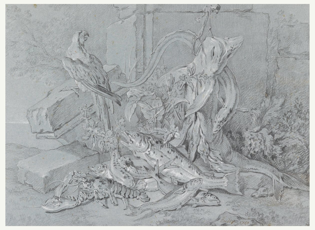 Dessin, Nature morte avec poisson et perroquet, 1740 - Jean Baptiste Oudry