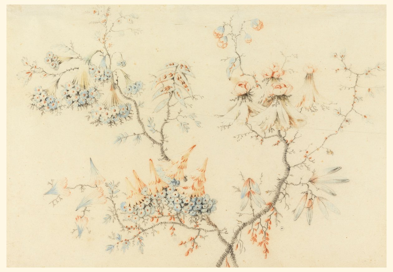Dessin, branches fleuries, 1775-1800 - Jean Baptiste Pillement