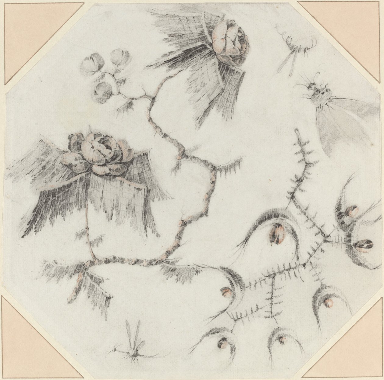Fleurs et insectes fantaisistes - Jean Baptiste Pillement
