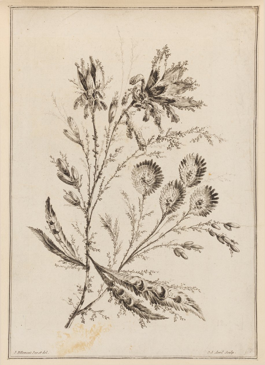 Branche de fleurs - Jean Baptiste Pillement