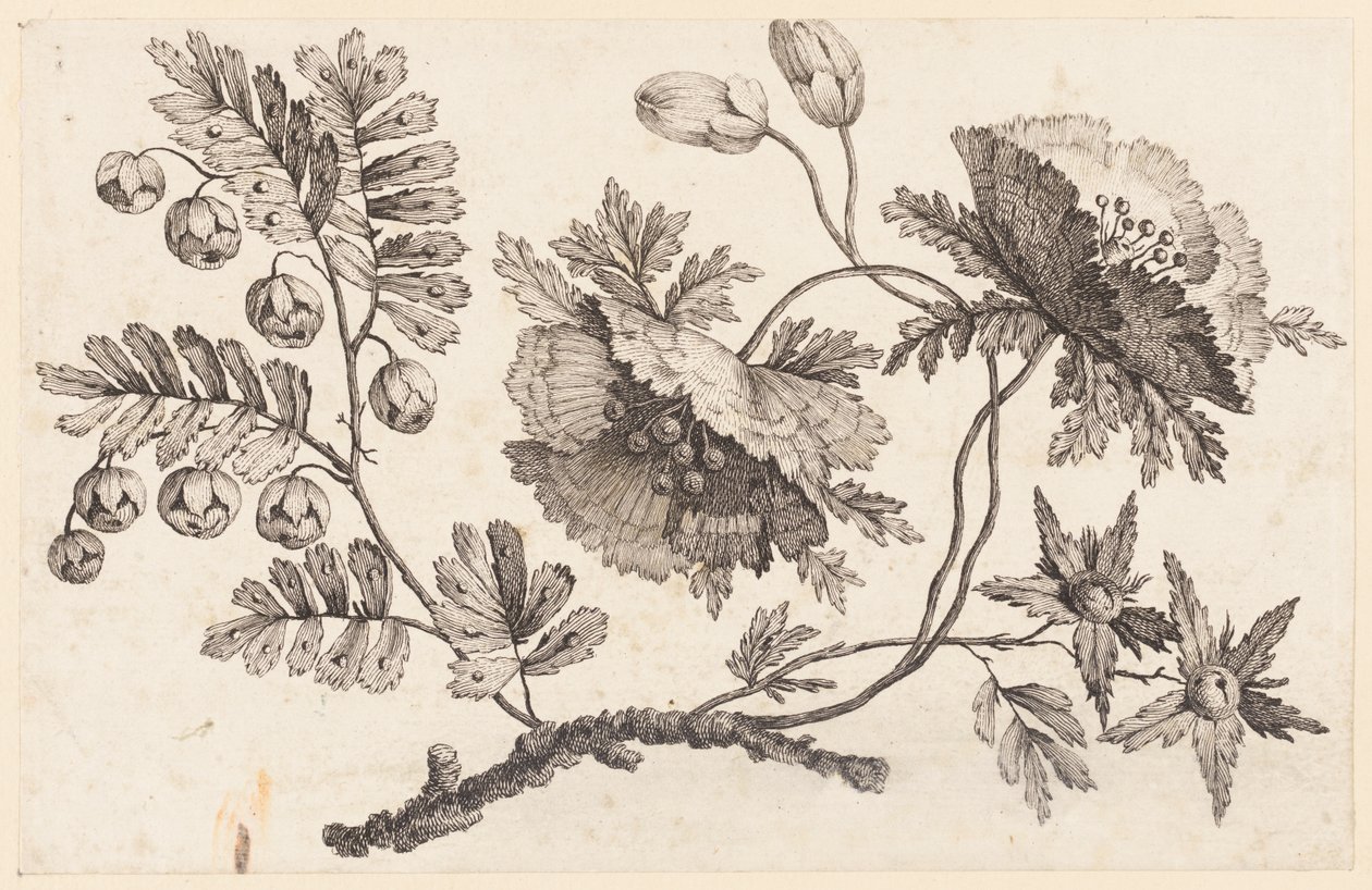 Branche de fleurs, de "Recueil de Fleurs Chinois" - Jean Baptiste Pillement