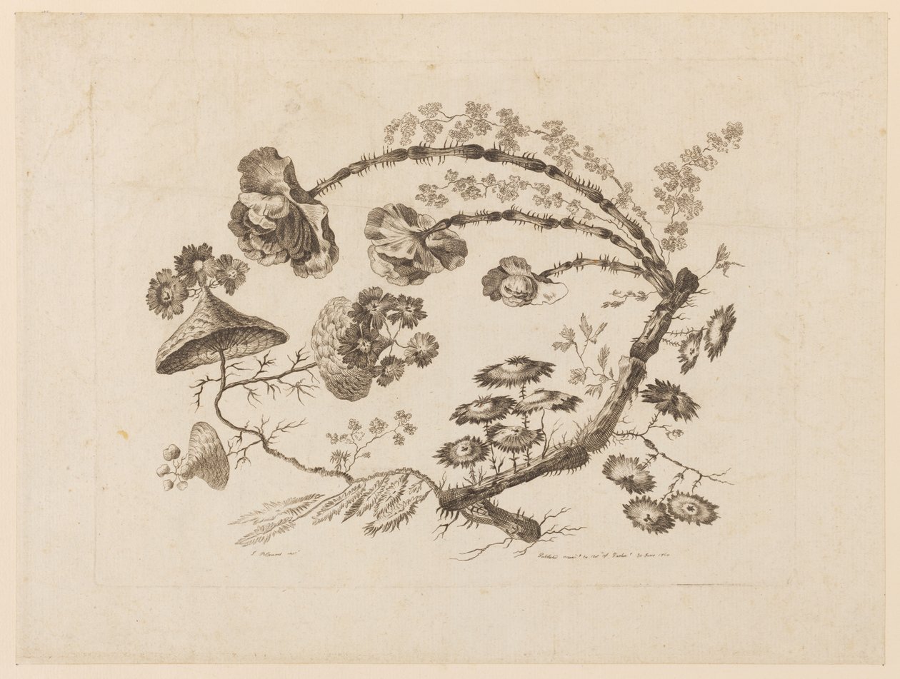 Branches fleuries, de "Recueil de Différentes Fleurs de Fantaisie Dans le Goût Chinois" - Jean Baptiste Pillement