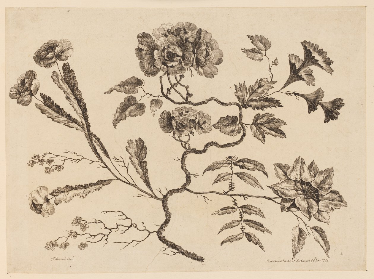 Branches de fleurs, de "Recueil de Différentes Fleurs de Fantaisie Dans le Goût Chinois" - Jean Baptiste Pillement