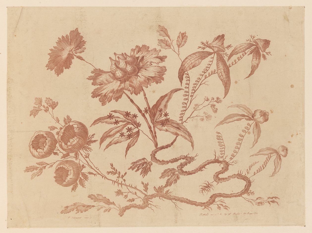 Brindilles de fleurs, de "Recueil de Différentes Fleurs de Fantaisie Dans le Goût Chinois" - Jean Baptiste Pillement