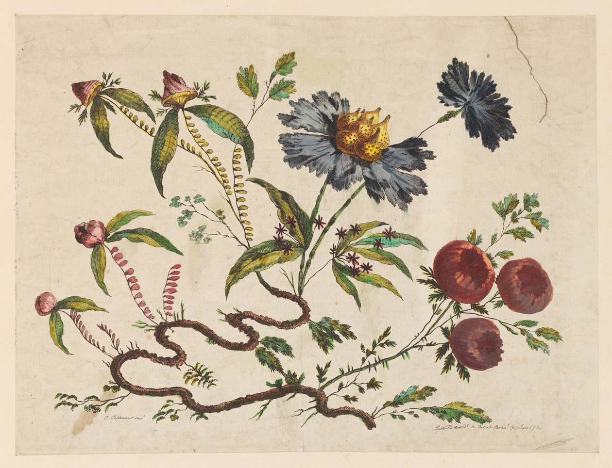 Brindilles de fleurs, de "Recueil de Différentes Fleurs de Fantaisie Dans le Goût Chinois" - Jean Baptiste Pillement