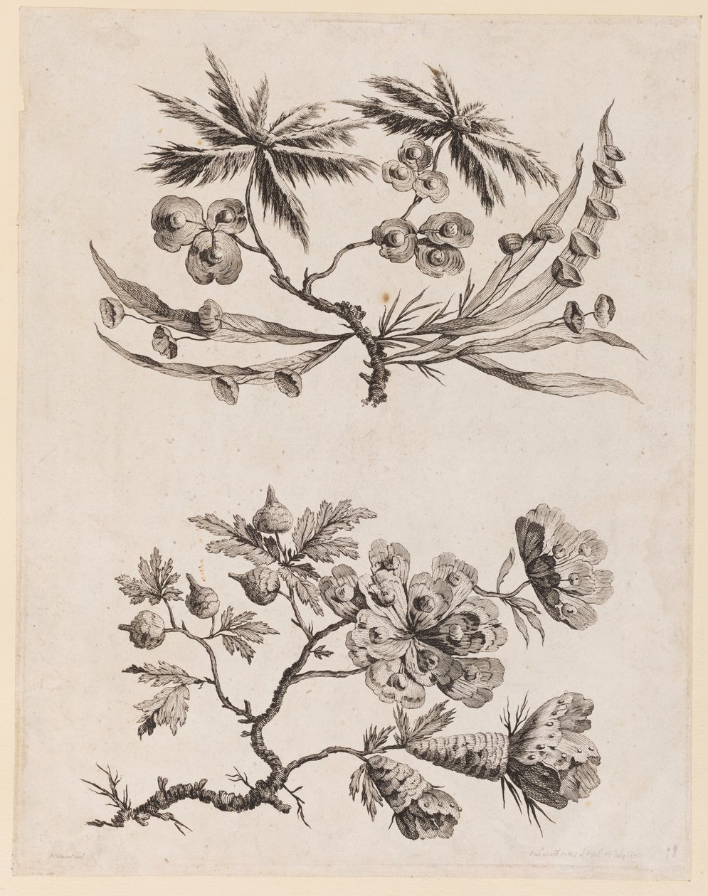 Branches fleuries de "Recueil de Fleurs Chinois" - Jean Baptiste Pillement