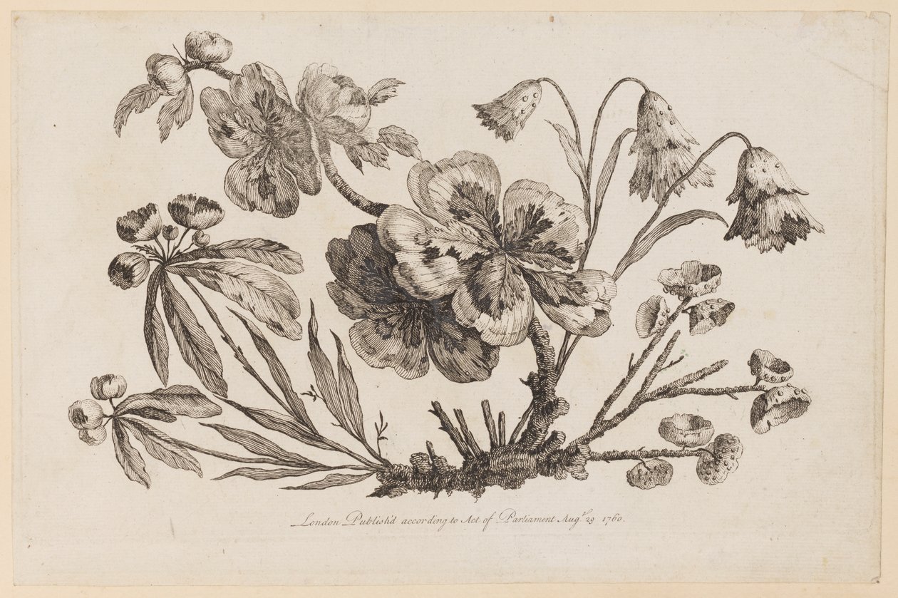Branches fleuries, de "Recueil de Fleurs de Chinois" - Jean Baptiste Pillement