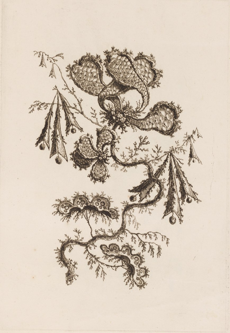 Branche de fleur, de "Fleures Persannes" - Jean Baptiste Pillement