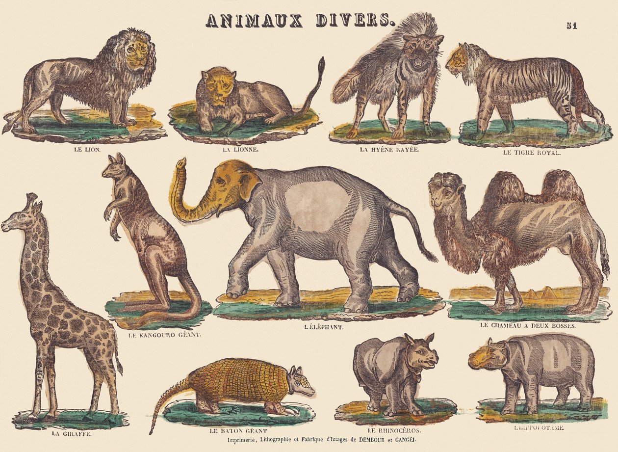 Divers animaux, vers 1840-1852 - Jean Baptiste Thiebault