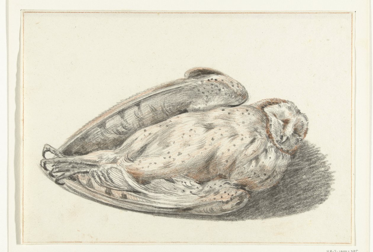 Hibou mort - Jean Bernard