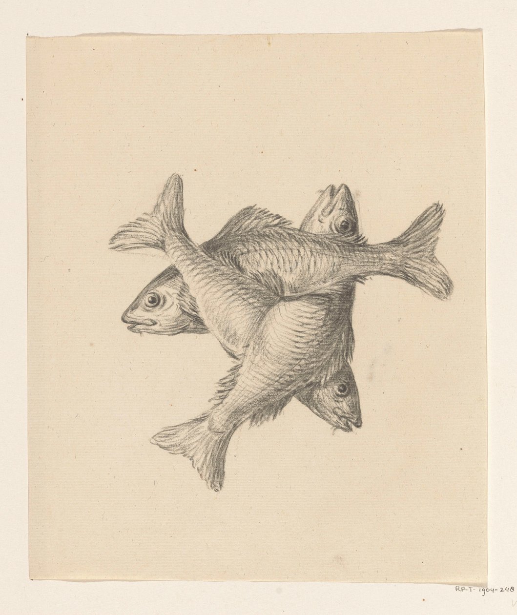 Trois petits poissons disposés en croix - Jean Bernard