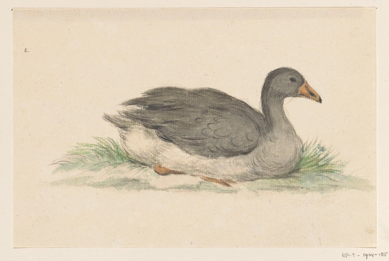 Canard, vers la droite - Jean Bernard