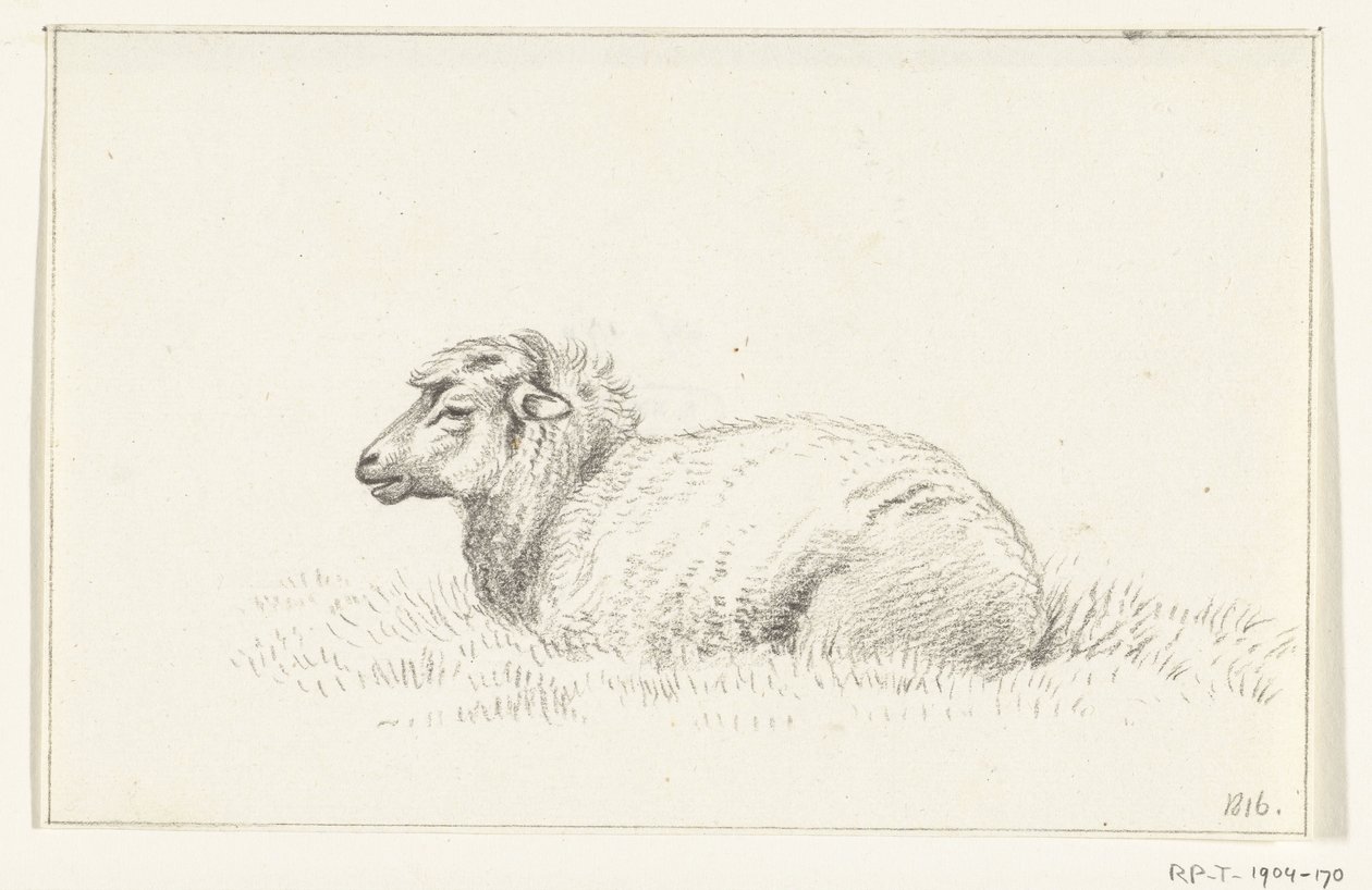 Mouton couché, vers la gauche - Jean Bernard