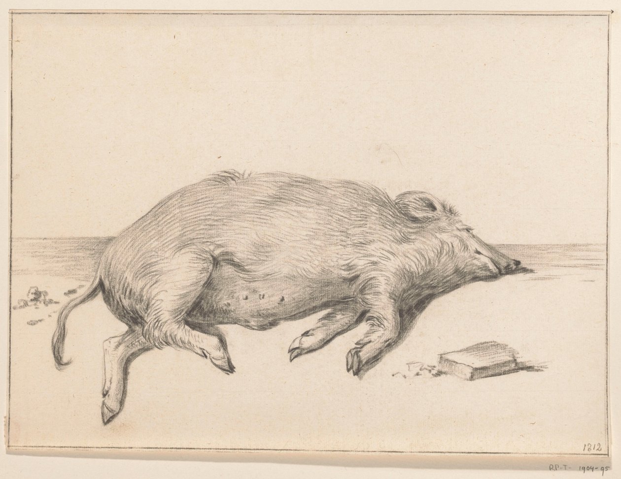 Cochon couché, vers la droite - Jean Bernard