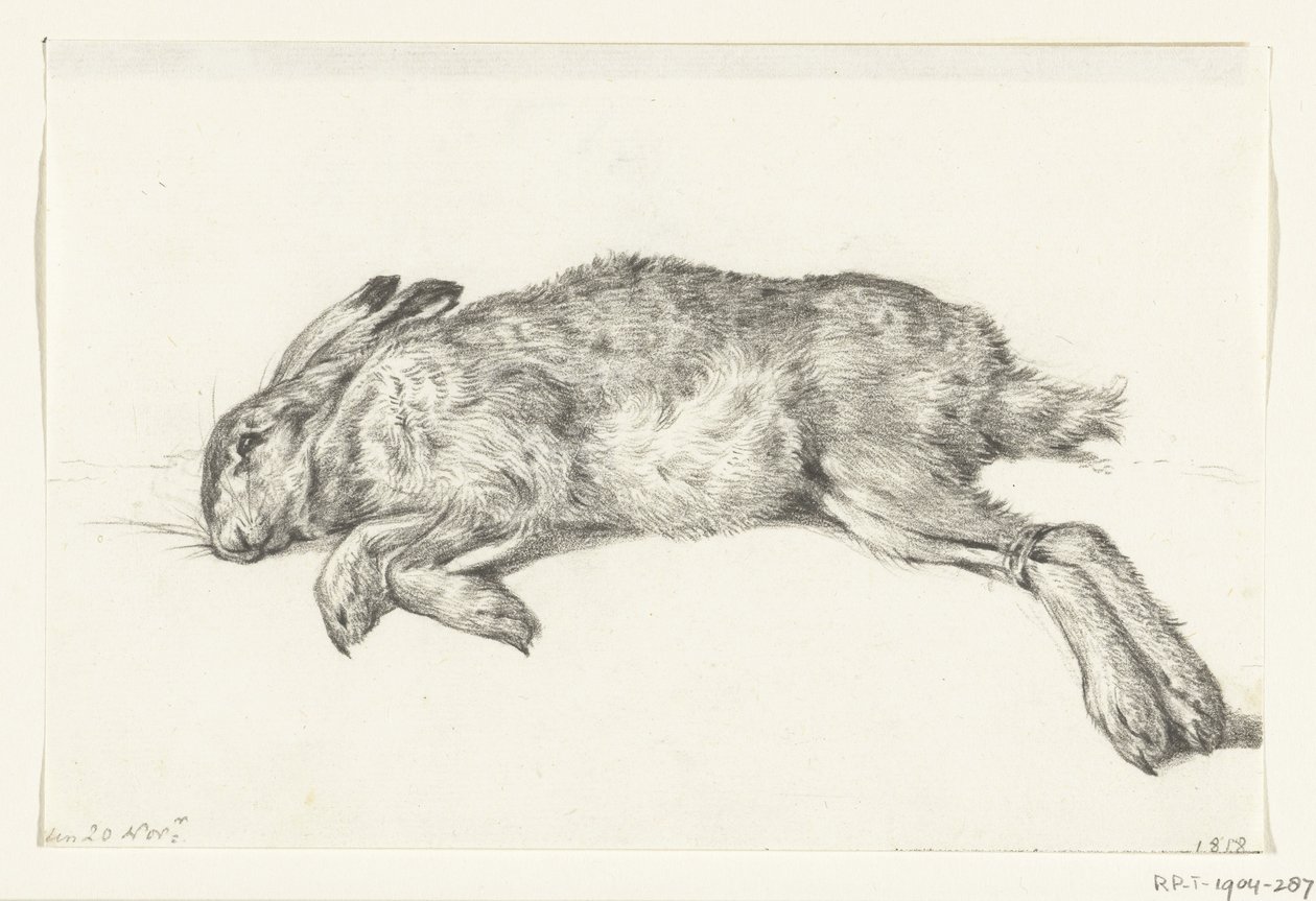 Lièvre mort couché - Jean Bernard