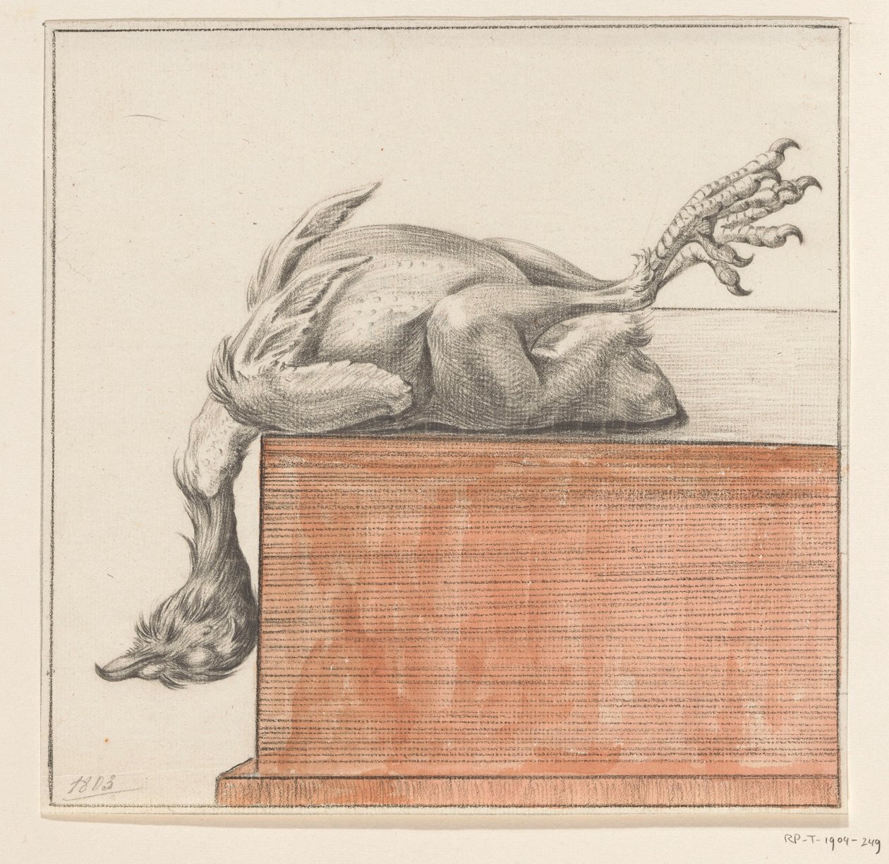 Oiseau mort couché, la tête pendante - Jean Bernard