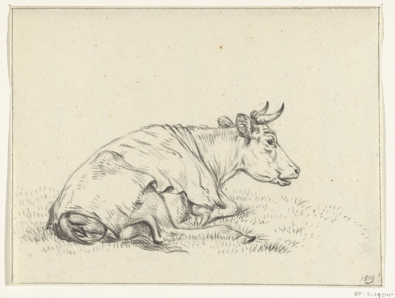 Vache couchée, vers la droite - Jean Bernard
