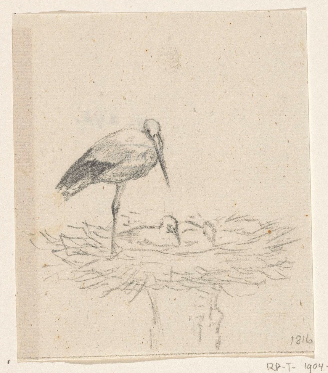 Cigogne sur un nid - Jean Bernard