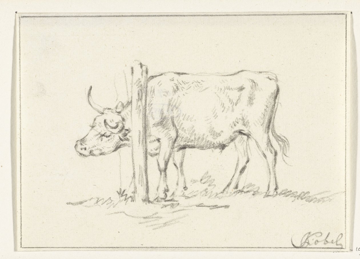 Vache debout, avec la tête entre des poteaux - Jean Bernard