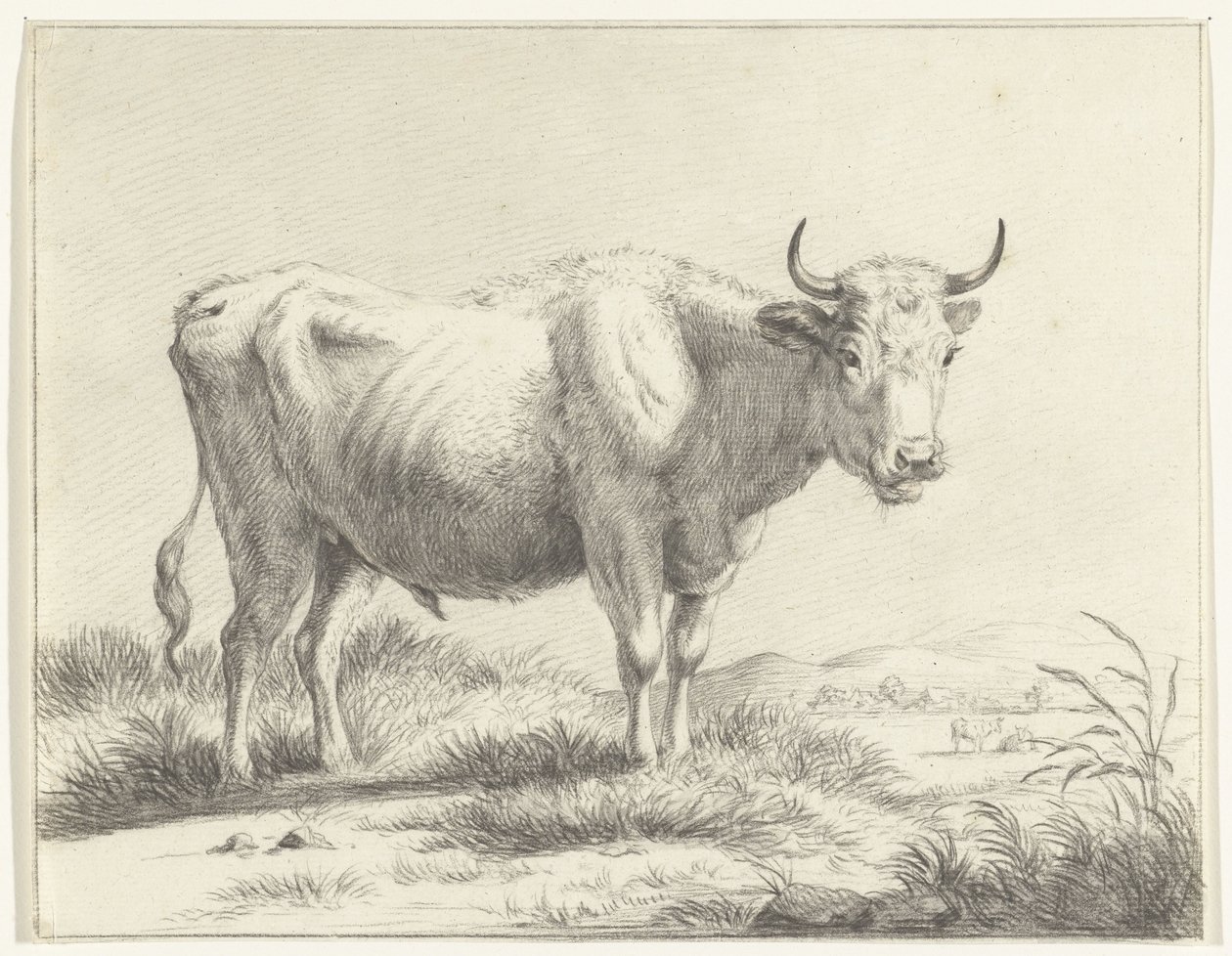 Vache debout, vers la droite - Jean Bernard