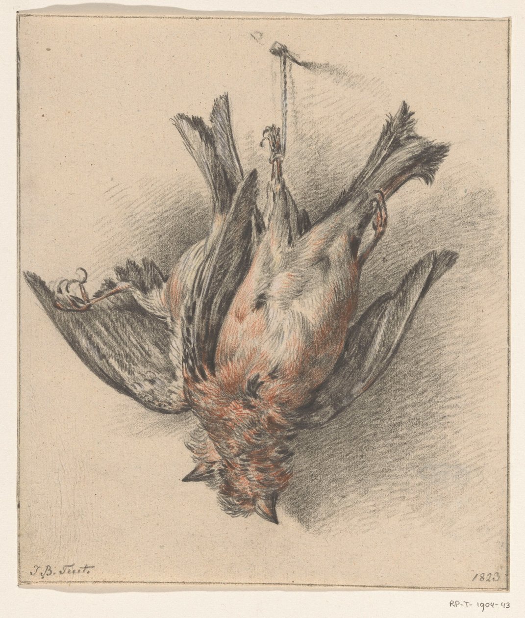Deux oiseaux morts, suspendus à une ficelle - Jean Bernard