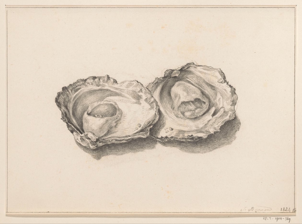 Deux huîtres ouvertes - Jean Bernard