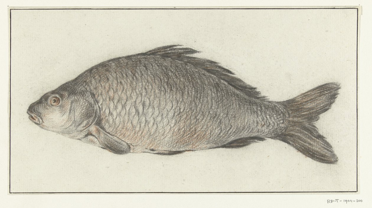 Poisson | Jean Bernard | Estampe d'art