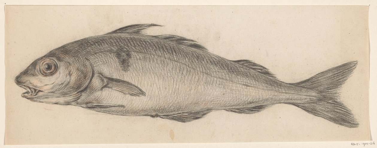 Poisson, vers la gauche - Jean Bernard