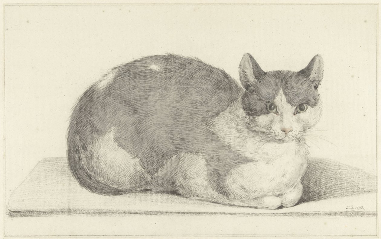 Chat assis, vers la droite - Jean Bernard