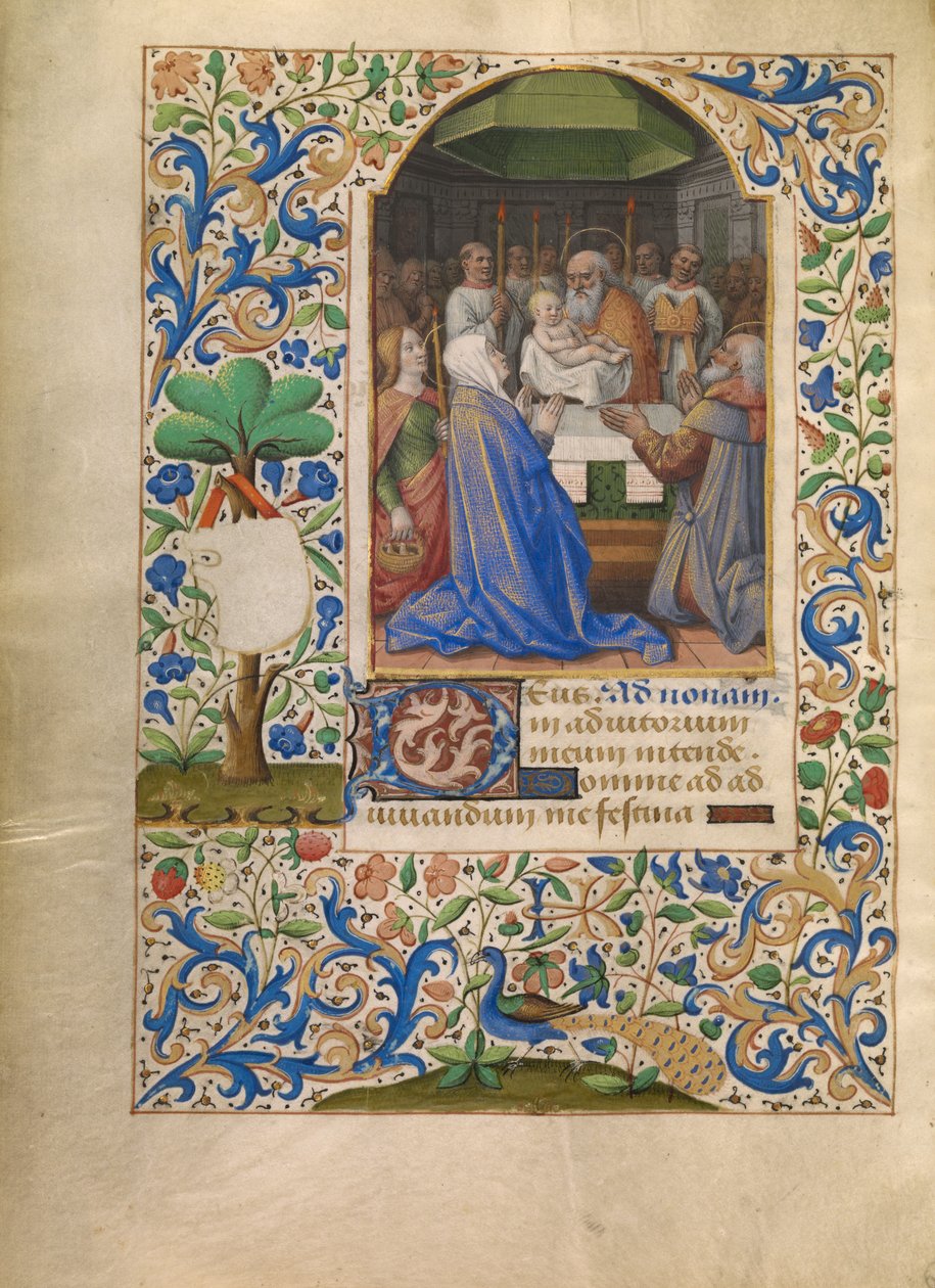 Die Darstellung im Tempel - Jean Bourdichon