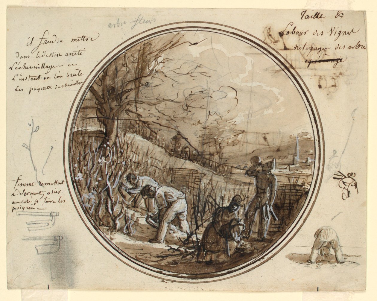 Design pour une assiette en porcelaine peinte, coupe et travail dans le vignoble - Jean Charles Develly