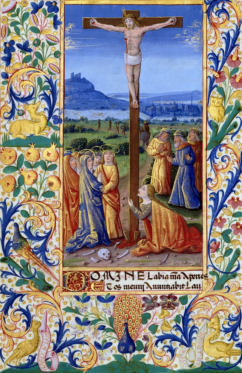 Ms Lat. Q.v.I.126 f.84v La Crucifixion, du 