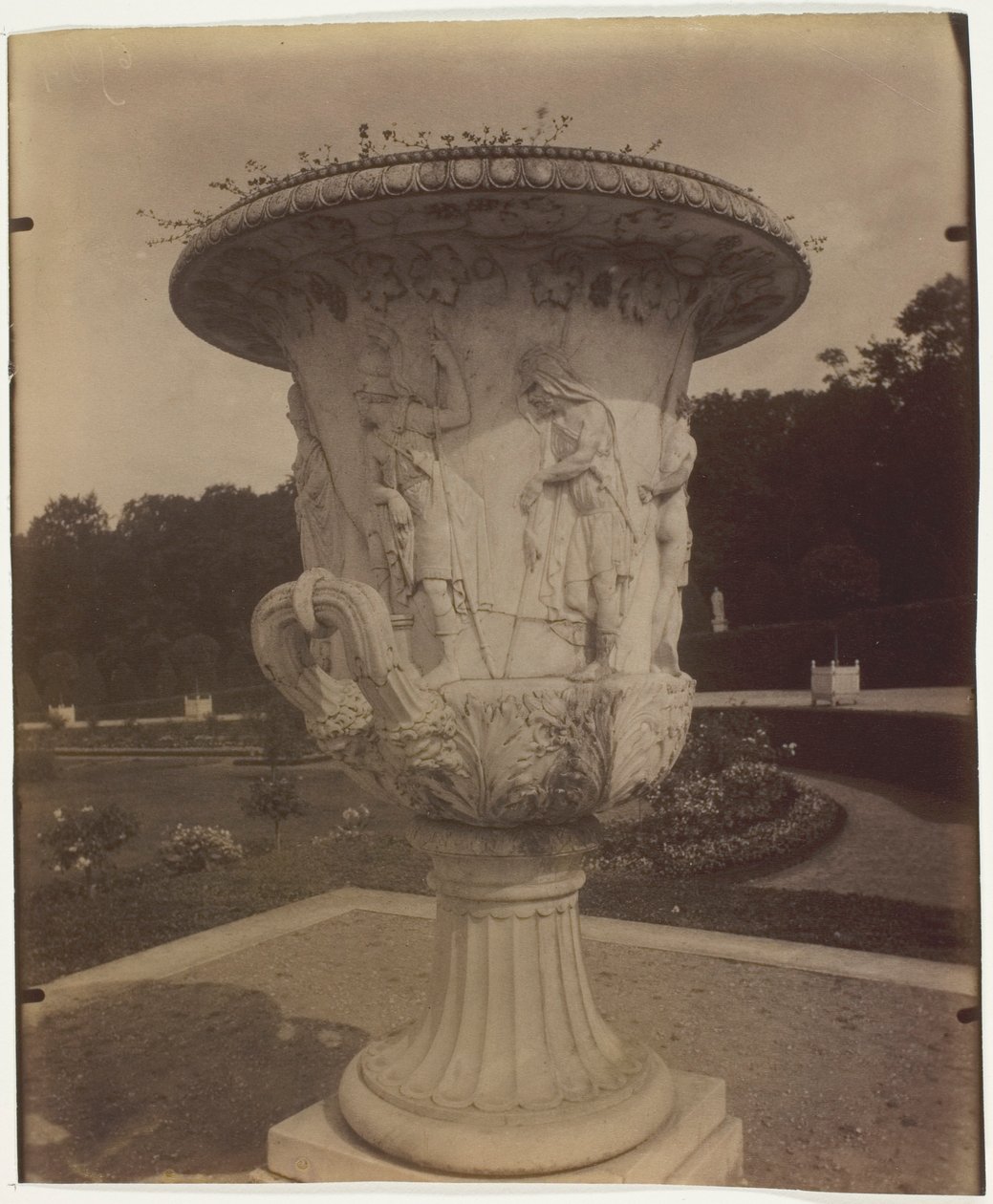 Versailles, (Vase) - Jean Eugène Auguste Atget
