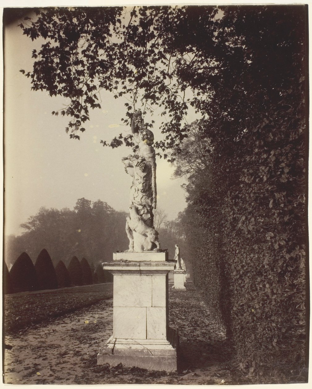 Versailles, Coin de Parc - Jean Eugène Auguste Atget