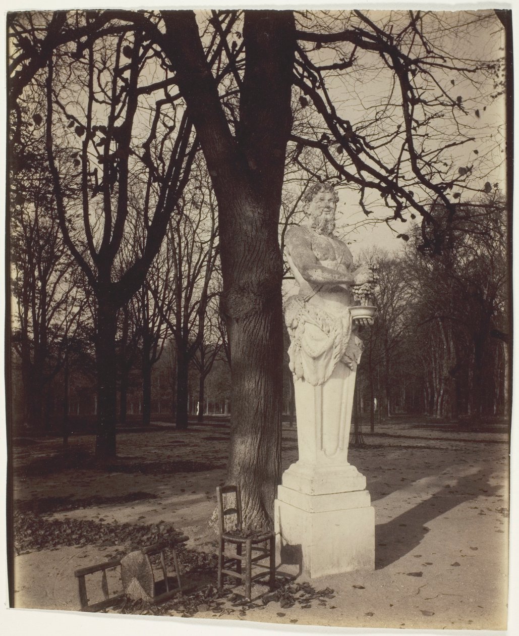 Versailles, Coin de Parc - Jean Eugène Auguste Atget