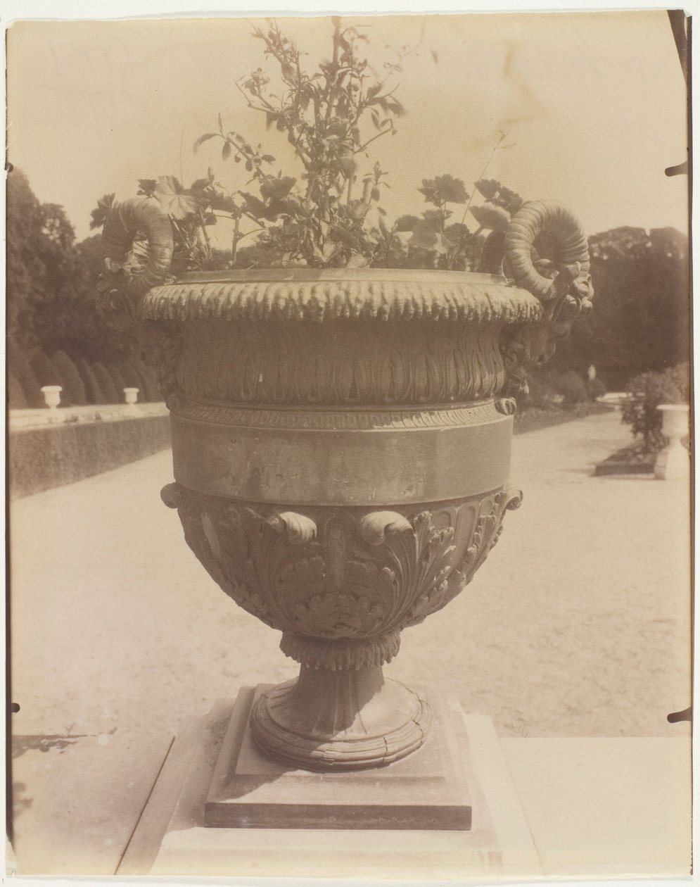 Versailles, Vase par Ballin - Jean Eugène Auguste Atget