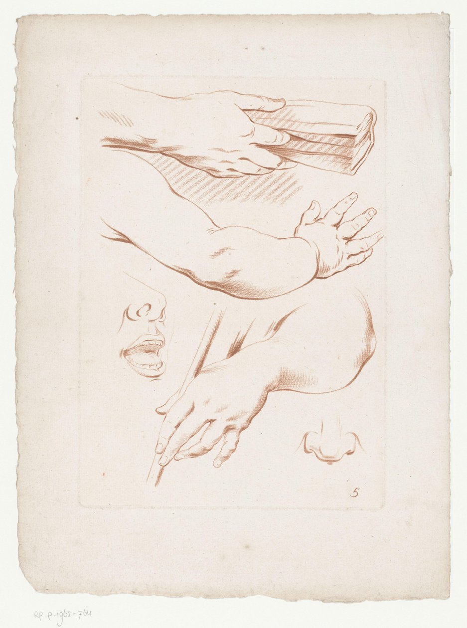 Composition avec bras, nez et partie d