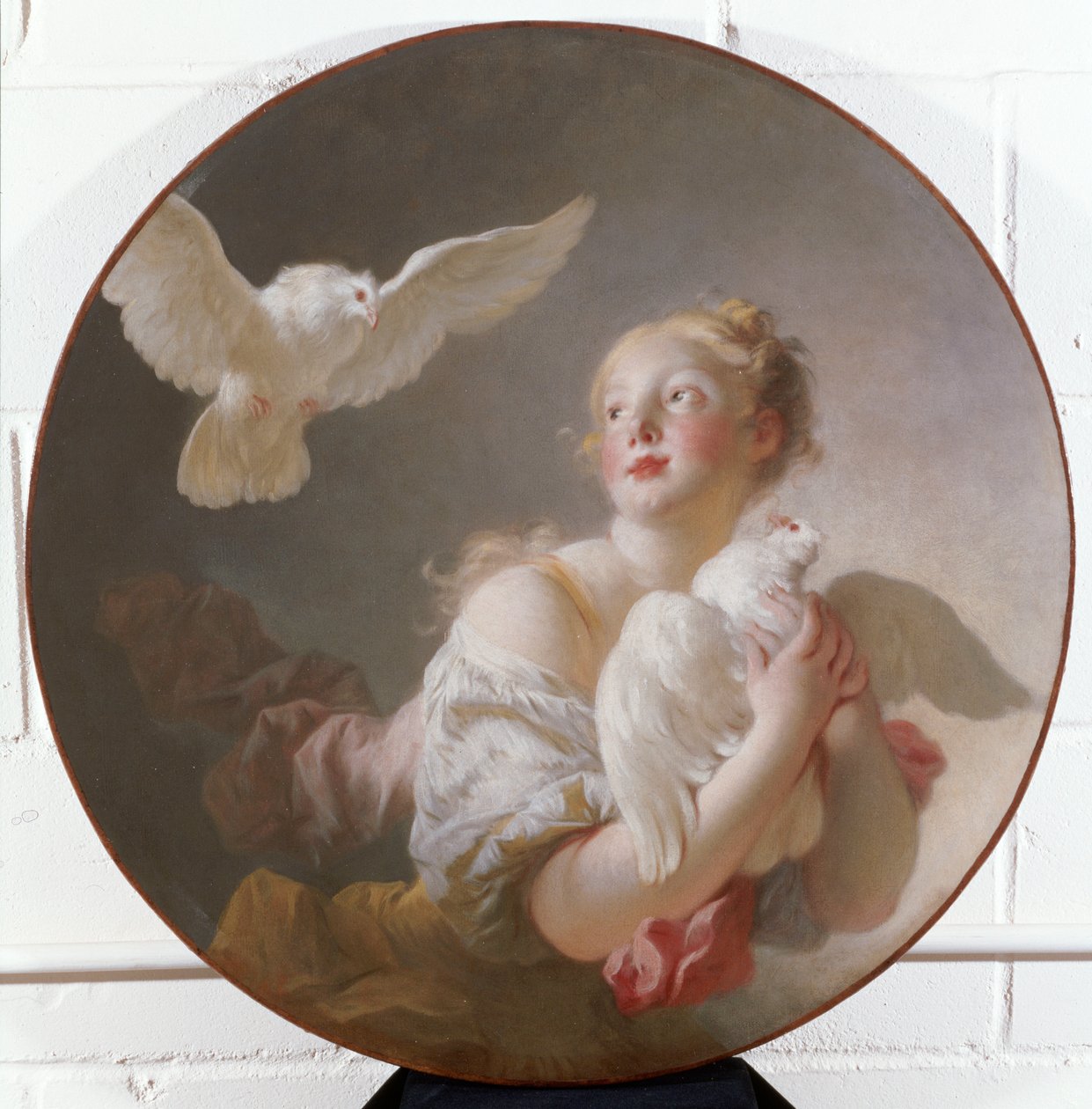 Fille tenant une colombe - Jean Honore Fragonard