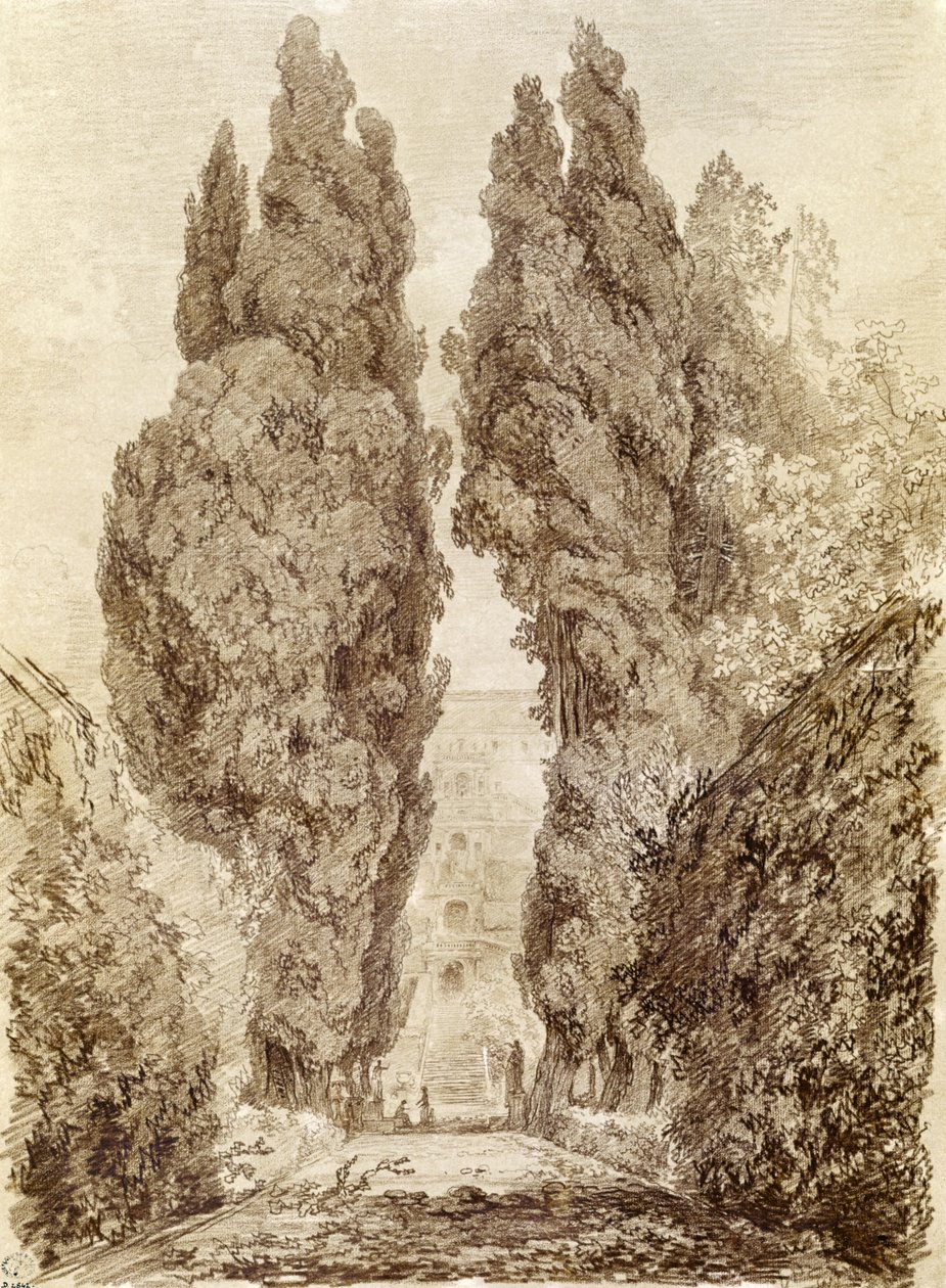 Grands cyprès à la Villa d