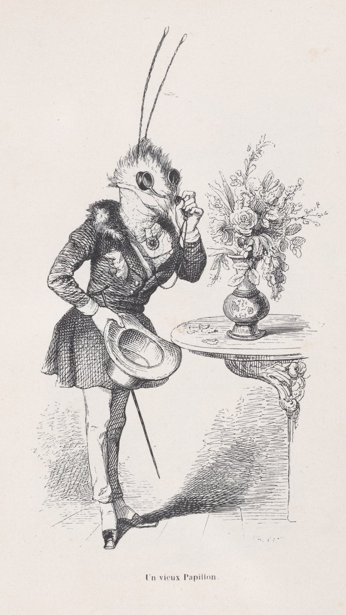 Un vieux papillon de Scènes de la vie privée et publique des animaux, vers 1837-47 - Jean Ignace Isidore Gérard