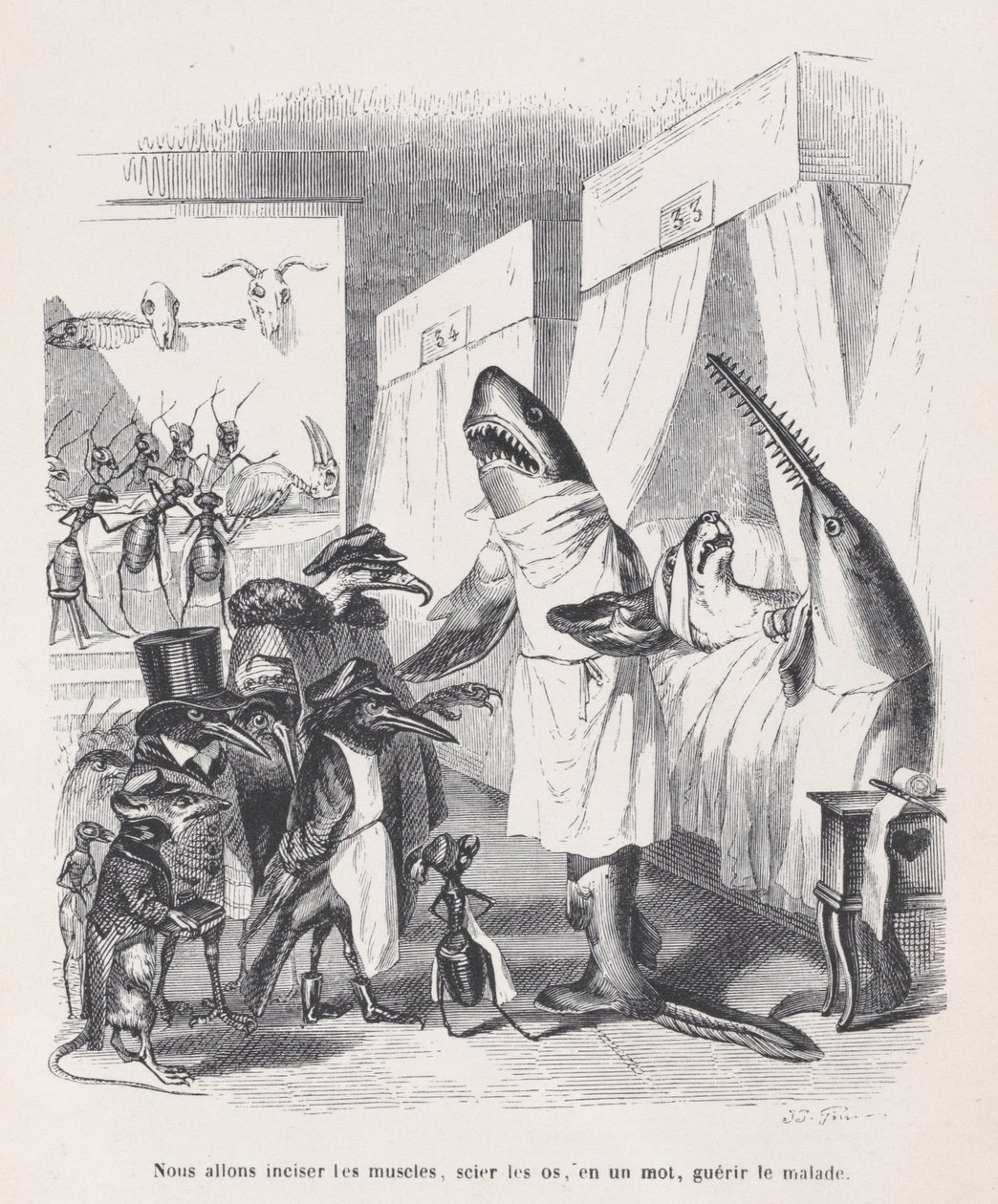 Nous allons inciser les muscles, scier les os, en un mot, guérir les malades de Sc..., vers 1837-1847 - Jean Ignace Isidore Gérard