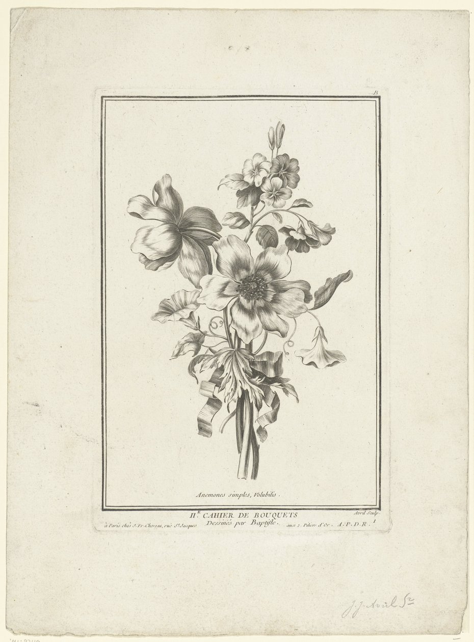 Bouquet d
