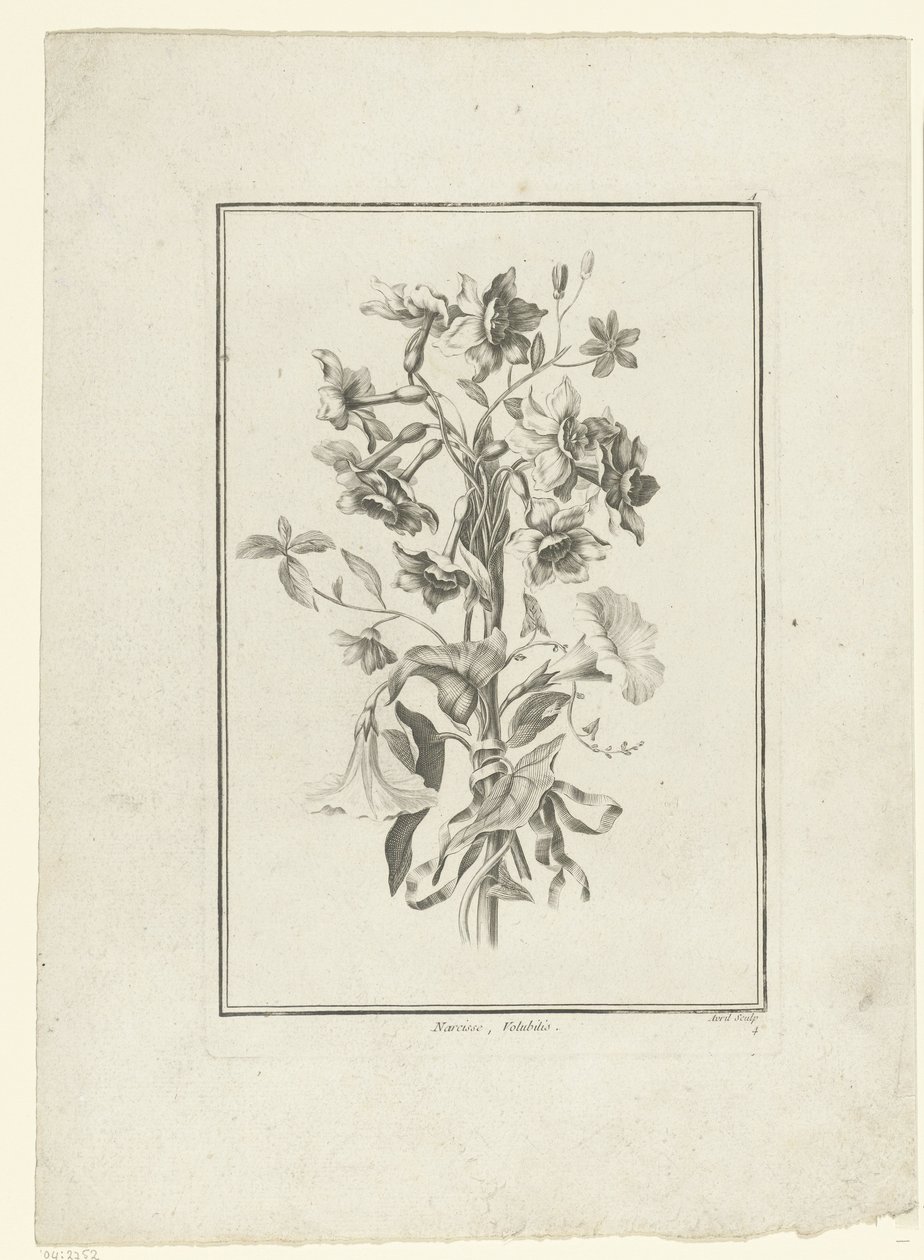 Bouquet de narcisses et volubilis - Jean Jacques Avril (I)