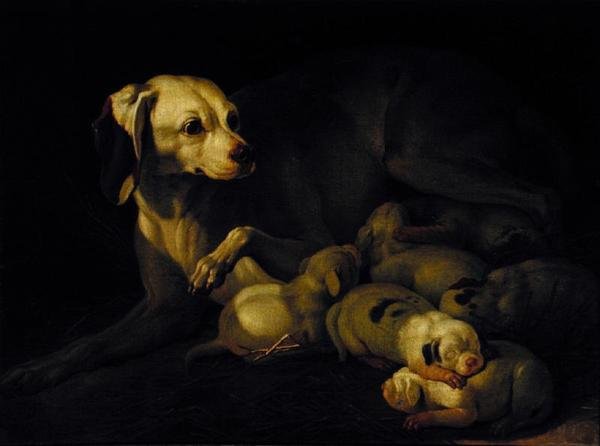 La chienne allaitant ses chiots (détail) - Jean Jacques Bachelier