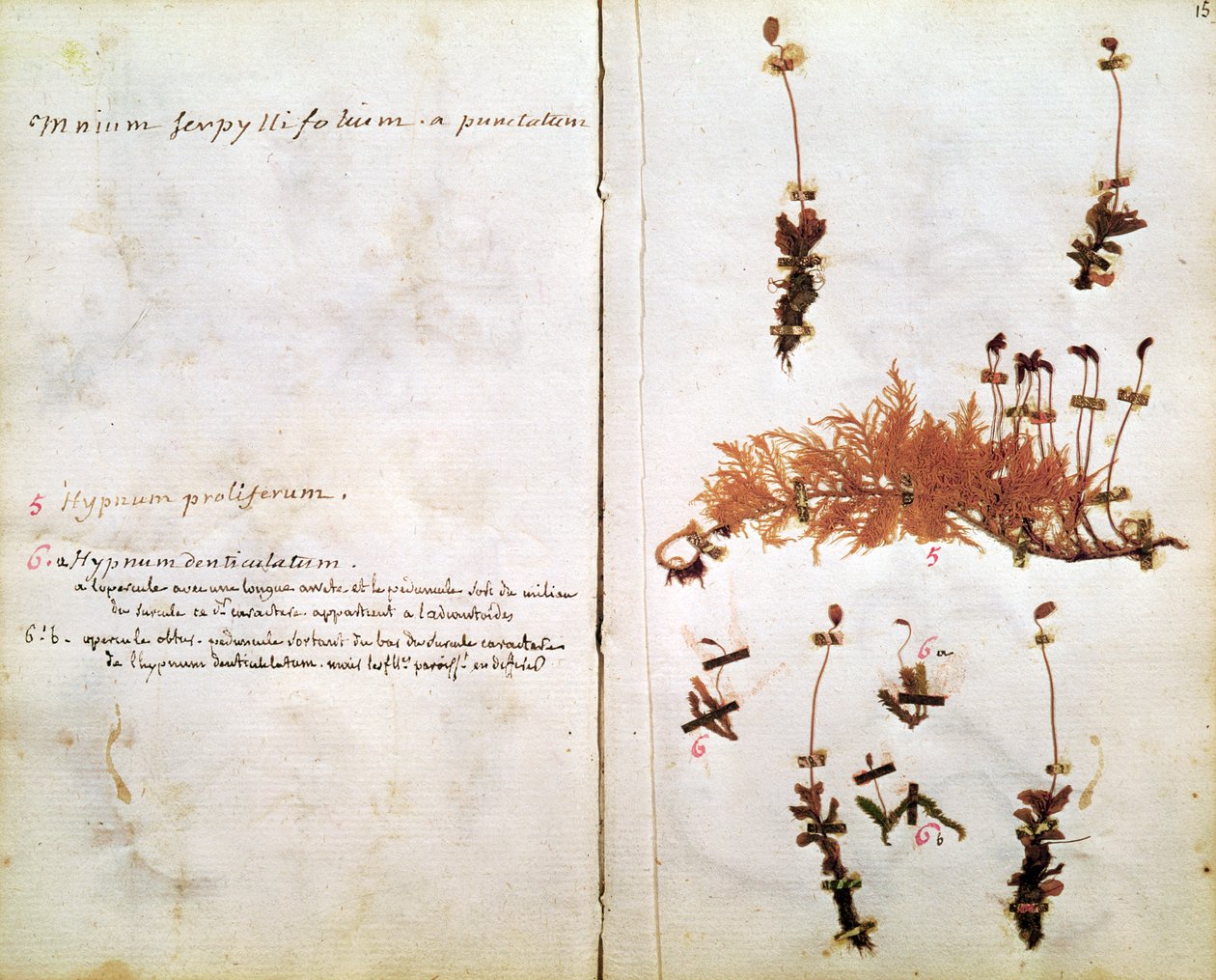 Page 15 d